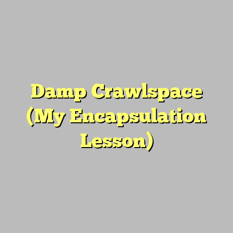Damp Crawlspace (My Encapsulation Lesson)