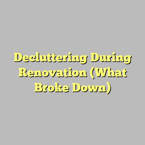 Decluttering During Renovation (What Broke Down)