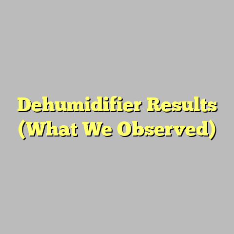 Dehumidifier Results (What We Observed)