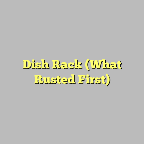 Dish Rack (What Rusted First)