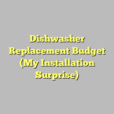 Dishwasher Replacement Budget (My Installation Surprise)