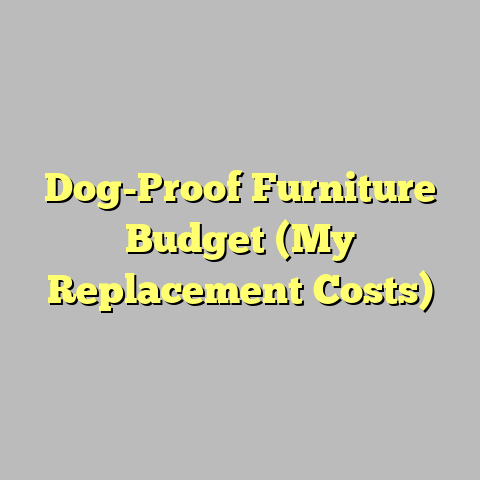 Dog-Proof Furniture Budget (My Replacement Costs)