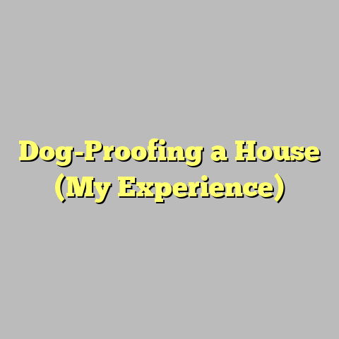 Dog-Proofing a House (My Experience)