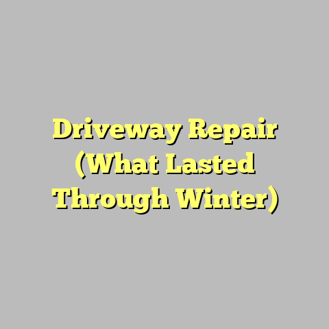 Driveway Repair (What Lasted Through Winter)