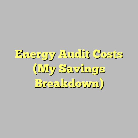 Energy Audit Costs (My Savings Breakdown)