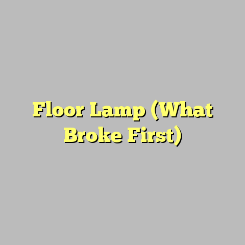 Floor Lamp (What Broke First)