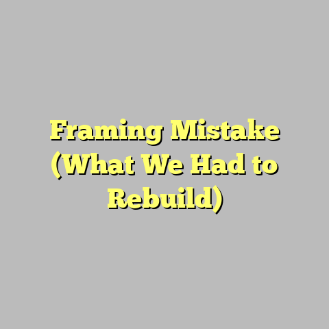 Framing Mistake (What We Had to Rebuild)