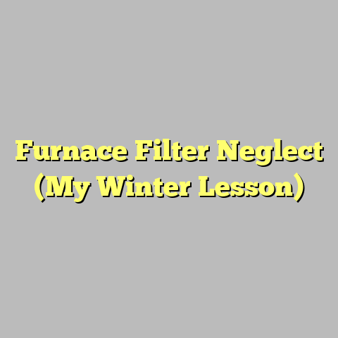 Furnace Filter Neglect (My Winter Lesson)