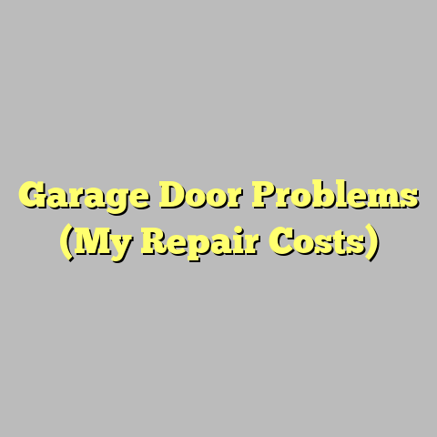 Garage Door Problems (My Repair Costs)