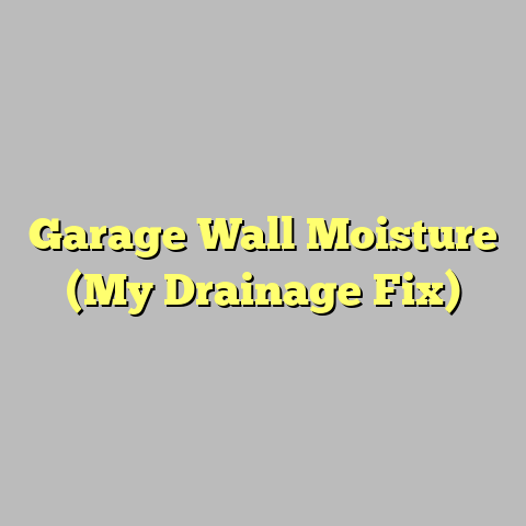 Garage Wall Moisture (My Drainage Fix)
