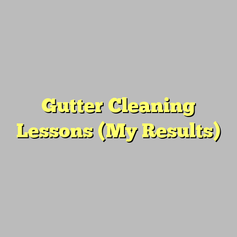 Gutter Cleaning Lessons (My Results)