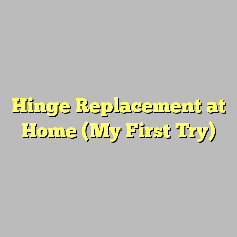 Hinge Replacement at Home (My First Try)