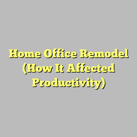 Home Office Remodel (How It Affected Productivity)