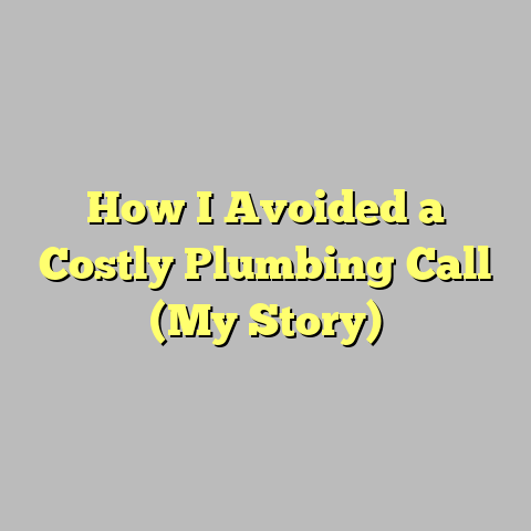 How I Avoided a Costly Plumbing Call (My Story)