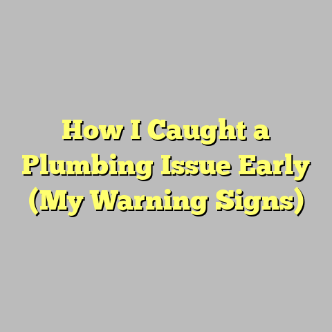 How I Caught a Plumbing Issue Early (My Warning Signs)