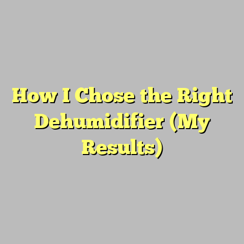 How I Chose the Right Dehumidifier (My Results)