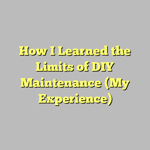 How I Learned the Limits of DIY Maintenance (My Experience)