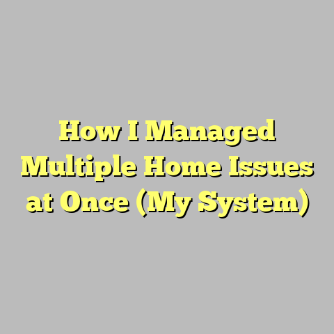 How I Managed Multiple Home Issues at Once (My System)