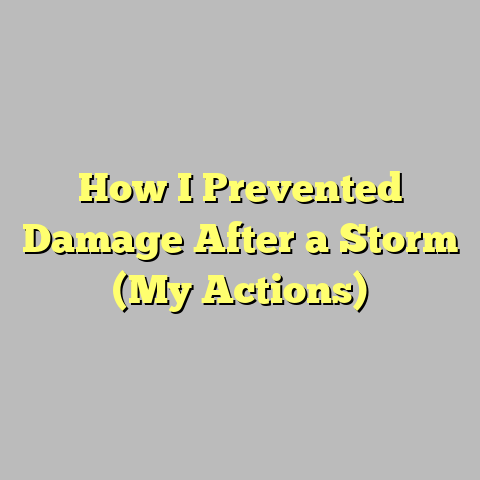How I Prevented Damage After a Storm (My Actions)