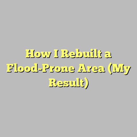 How I Rebuilt a Flood-Prone Area (My Result)