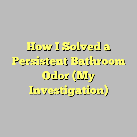 How I Solved a Persistent Bathroom Odor (My Investigation)