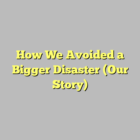 How We Avoided a Bigger Disaster (Our Story)