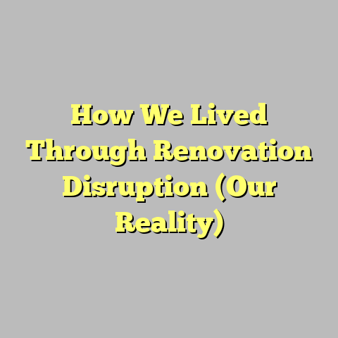 How We Lived Through Renovation Disruption (Our Reality)