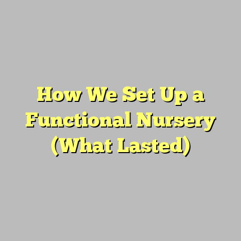 How We Set Up a Functional Nursery (What Lasted)