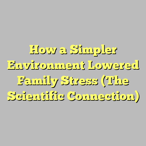 How a Simpler Environment Lowered Family Stress (The Scientific Connection)