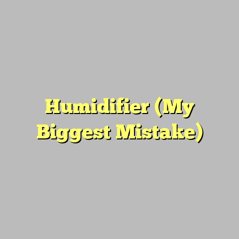 Humidifier (My Biggest Mistake)
