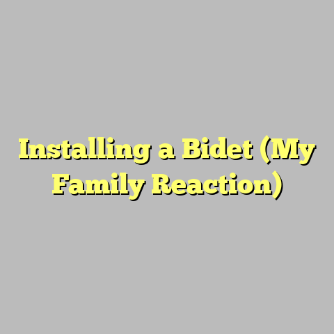 Installing a Bidet (My Family Reaction)