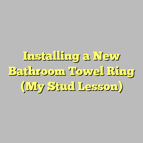 Installing a New Bathroom Towel Ring (My Stud Lesson)
