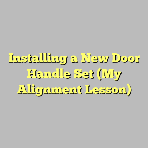 Installing a New Door Handle Set (My Alignment Lesson)