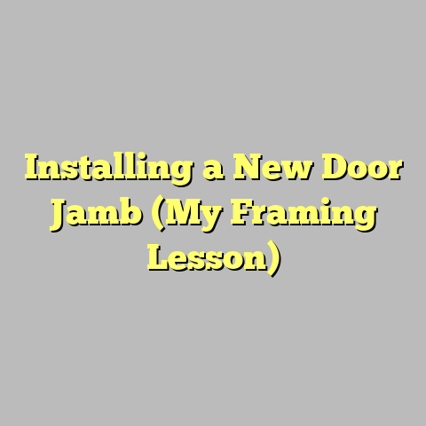Installing a New Door Jamb (My Framing Lesson)