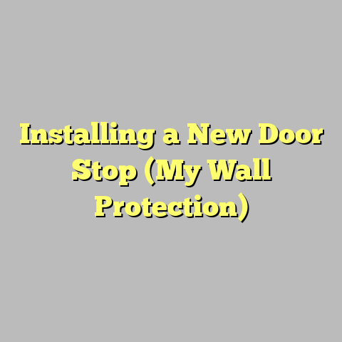Installing a New Door Stop (My Wall Protection)