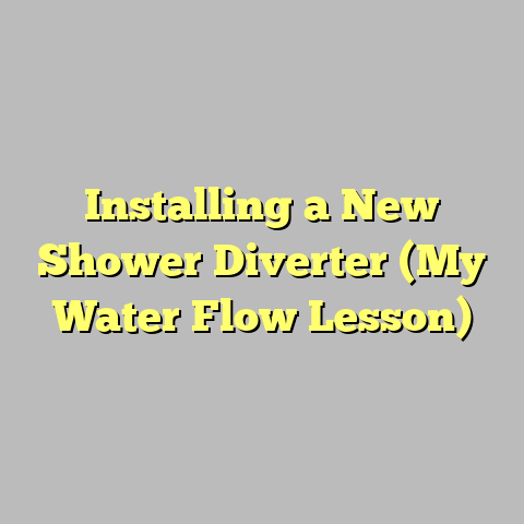Installing a New Shower Diverter (My Water Flow Lesson)