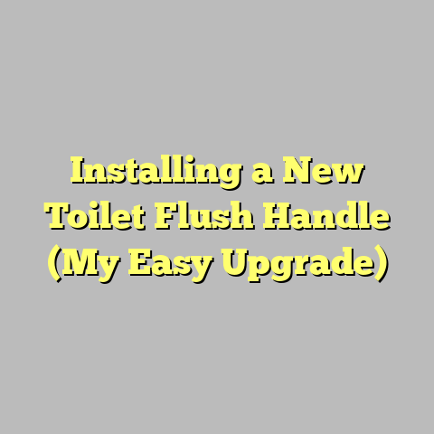 Installing a New Toilet Flush Handle (My Easy Upgrade)