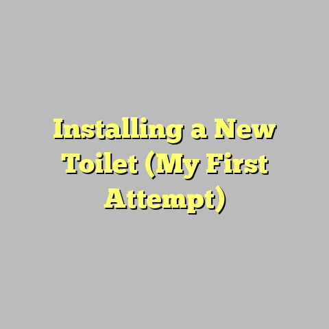 Installing a New Toilet (My First Attempt)