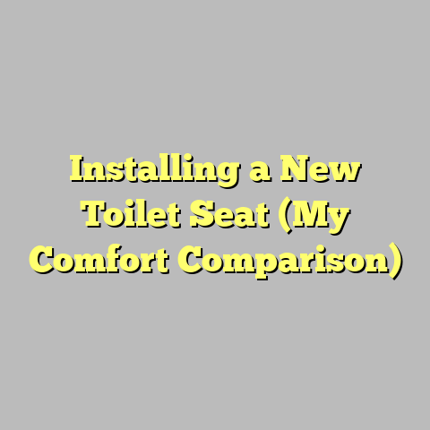 Installing a New Toilet Seat (My Comfort Comparison)