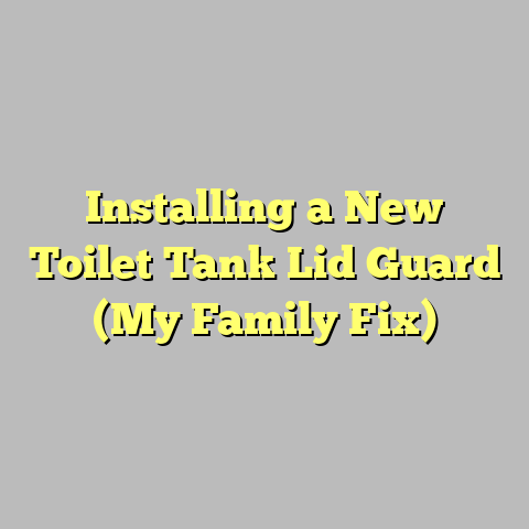 Installing a New Toilet Tank Lid Guard (My Family Fix)