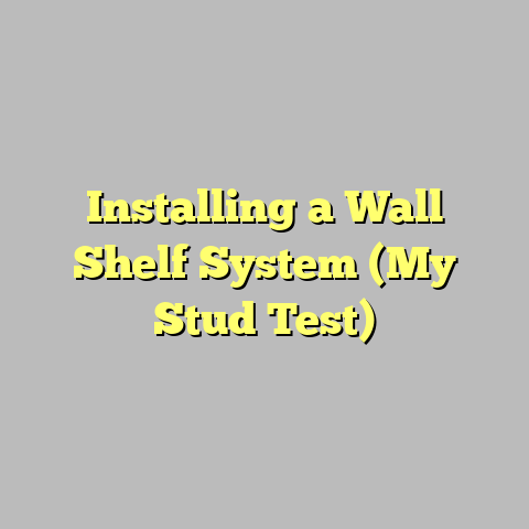 Installing a Wall Shelf System (My Stud Test)