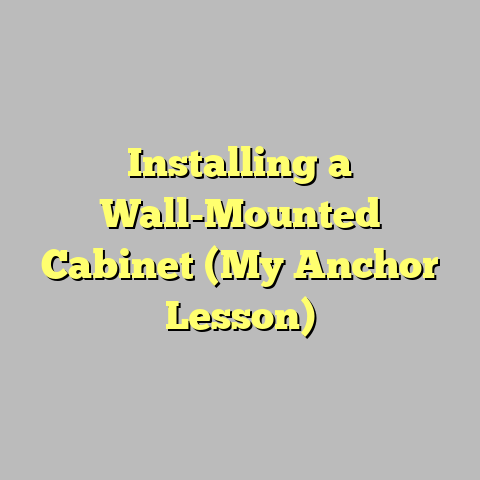 Installing a Wall-Mounted Cabinet (My Anchor Lesson)