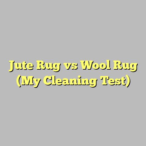Jute Rug vs Wool Rug (My Cleaning Test)