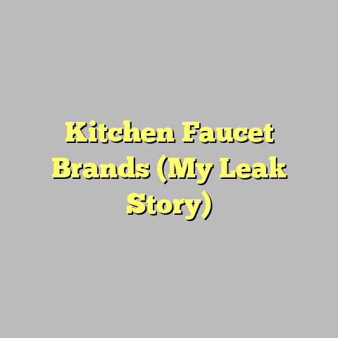 Kitchen Faucet Brands (My Leak Story)
