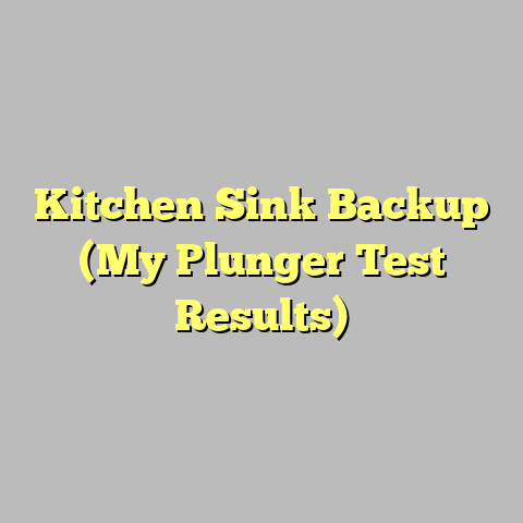 Kitchen Sink Backup (My Plunger Test Results)