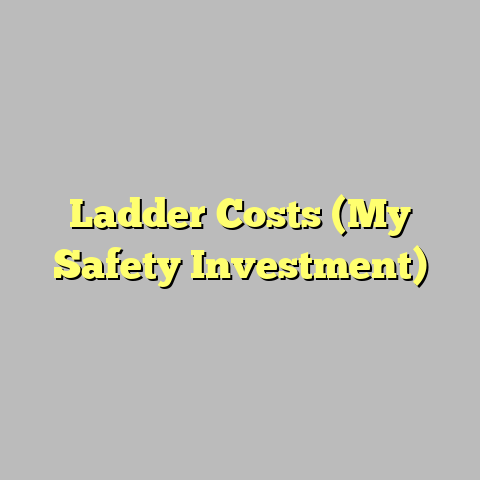 Ladder Costs (My Safety Investment)