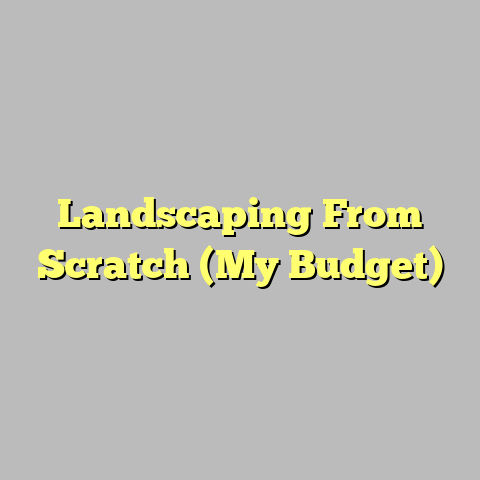 Landscaping From Scratch (My Budget)