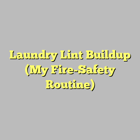 Laundry Lint Buildup (My Fire-Safety Routine)