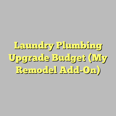 Laundry Plumbing Upgrade Budget (My Remodel Add-On)