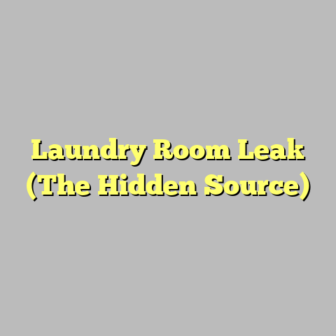 Laundry Room Leak (The Hidden Source)